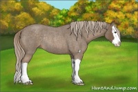 Horse Color:Chocolate Palomino Roan Sabino Splash Rabicano