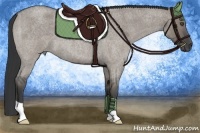 Horse Color:Grullo Roan 