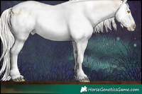Horse Color:White Spotted Silver Grullo Pearl Sabino Splash Rabicano
