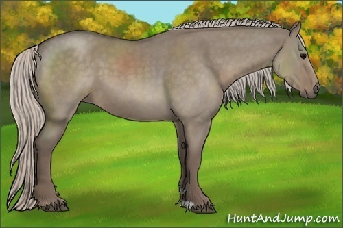 Horse Color:Silver Grullo Roan 