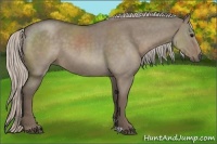 Horse Color:Silver Grullo Roan