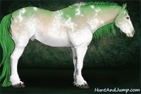 Horse Color:Watercolor White Spotted Bay Chinchilla 