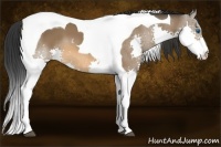 Horse Color:Bay Splash Tobiano