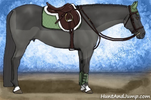 Horse Color:Smoky Black 