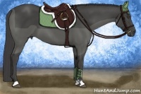 Horse Color:Smoky Black