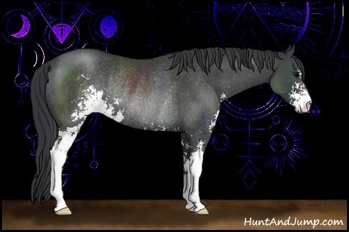 Horse Color:Black Sabino Rabicano 