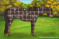 Horse Color:Plaid  White Spotted Liver Chestnut 