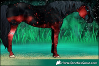 Horse Color:ERROR: UNKNOWN ANOMALY