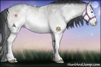 Horse Color:White Spotted Bay Chinchilla Splash Rabicano