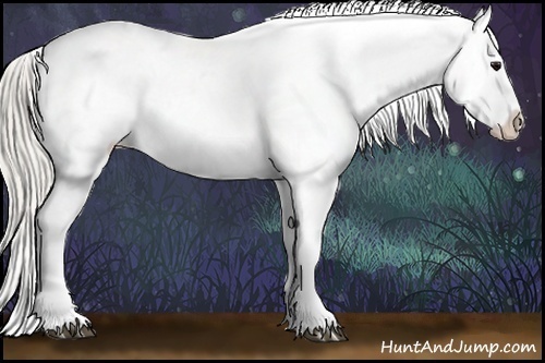Horse Color:White Spotted Silver Smoky Grullo Ice Appaloosa 