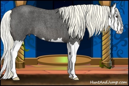 Horse Color:Liver Red Roan Splash 