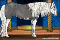 Horse Color:Liver Red Roan Splash 