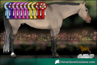 Horse Color:Brown Dun 