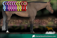Horse Color:Brown Dun 