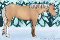 Horse Color:Silver Amber Champagne
