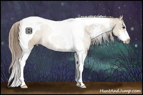 Horse Color:Black Pearl Sabino Tobiano Rabicano