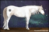 Horse Color:Black Pearl Sabino Tobiano Rabicano