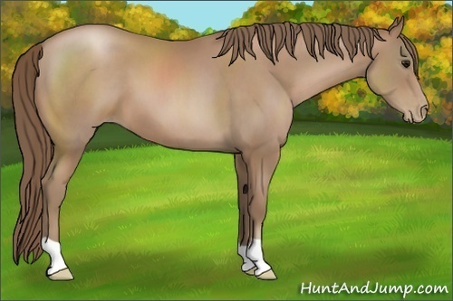 Horse Color:Black Pearl 