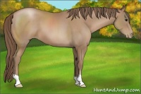 Horse Color:Black Pearl