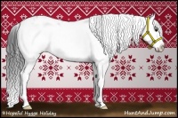 Horse Color:Black Sabino Splash Rabicano