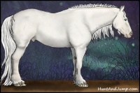 Horse Color:Silver Smoky Creme Roan Dun
