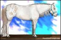 Horse Color:White Spotted Liver Chestnut Pearl Varnish