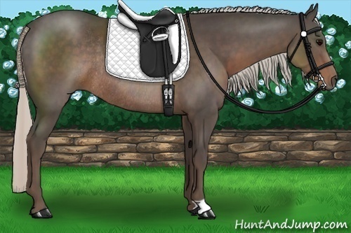 Horse Color:Silver Black Rabicano