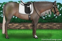 Horse Color:Silver Black Rabicano 