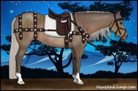 Horse Color:Silver Black Rabicano