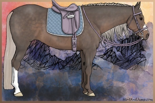 Horse Color:Silver Black 