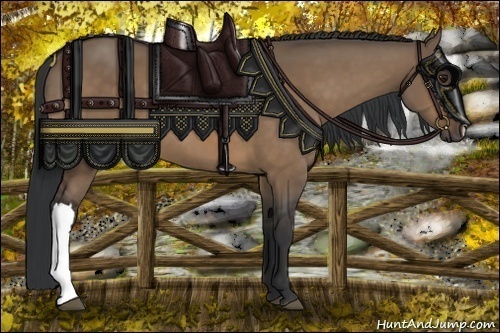 Horse Color:Bay Dun