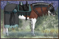 Horse Color:Chocolate Bay Splash