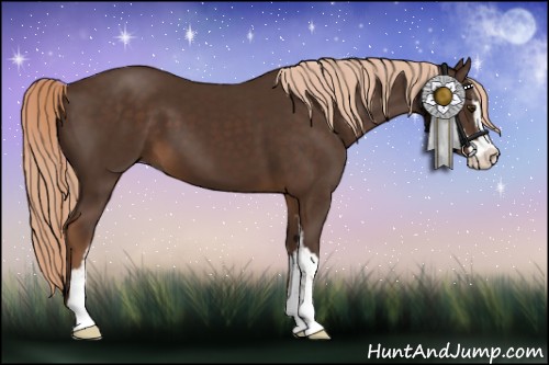Horse Color:Liver Chestnut Sabino 