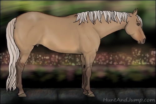Horse Color:Silver Bay Dun 
