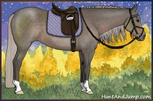Horse Color:Silver Black 