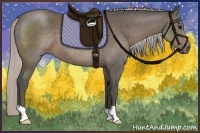 Horse Color:Silver Black 