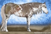 Horse Color:Silver Black Sabino 
