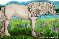 Horse Color:Perlino 