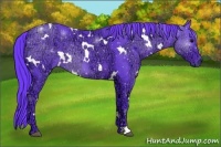 Horse Color:Watercolor White Spotted Black Ice