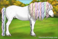 Horse Color:Painted Silver Buckskin Pearl Tobiano Varnish 