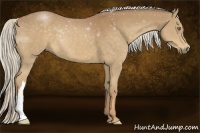 Horse Color:Palomino 