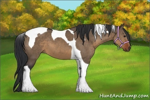 Horse Color:Brown Dun Tobiano 
