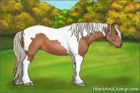 Horse Color:Silver Bay Tobiano