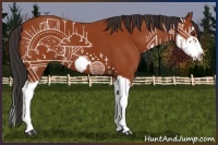 Horse Color:Bay Splash Frame 