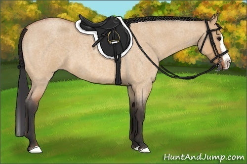 Horse Color:Bay Roan Dun Splash