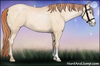 Horse Color:Buckskin Pearl 