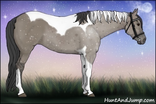 Horse Color:Smoky Grullo Tobiano