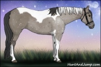 Horse Color:Smoky Grullo Tobiano