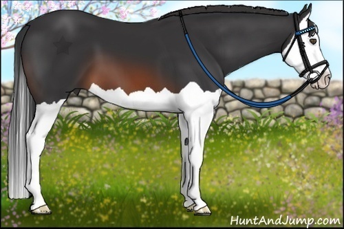 Horse Color:Brown Splash 