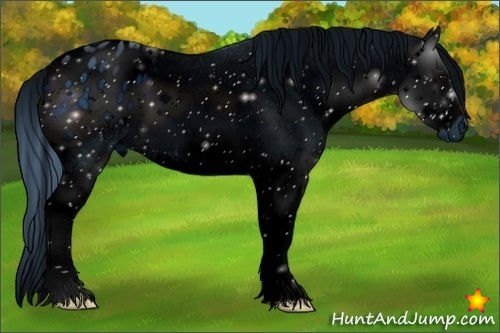 Horse Color:ERROR: UNKNOWN ANOMALY